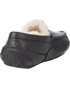 UGG Ascot Leather | Slippers -The Cozy Boot 61DbNE6 QAS. AC SR736920