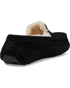 UGG Ascot | Slippers -The Cozy Boot 61Mfk5VePL. AC SR736920