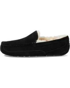 UGG Wide Ascot | Slippers -The Cozy Boot 61RgVyUklTL. AC SR736920