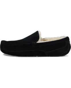 UGG Ascot | Slippers -The Cozy Boot 61dCXN9T9vL. AC SR736920