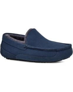 UGG Ascot | Slippers -The Cozy Boot 61eTkF9uYUL. AC SR736920