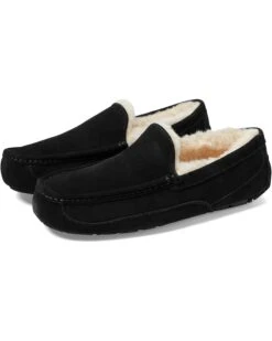 UGG Wide Ascot | Slippers