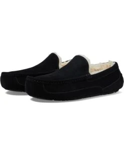 UGG Ascot | Slippers