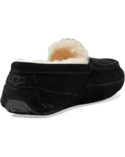 UGG Wide Ascot | Slippers -The Cozy Boot 61tfENxx8SL. AC SR736920
