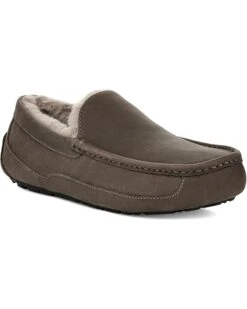 UGG Ascot | Slippers -The Cozy Boot 714PaFTTlL. AC SR736920