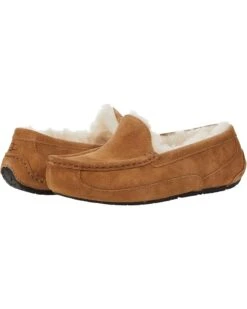 UGG Kids Ascot (Little Kid/Big Kid) | Slippers