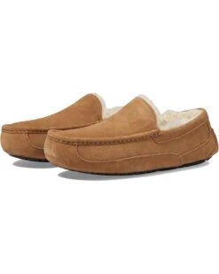 UGG Ascot | Slippers -The Cozy Boot 71OWUJFIP1L. AC SR736920