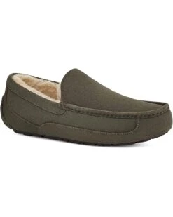 UGG Ascot | Slippers -The Cozy Boot 71OeJe27JSL. AC SR736920