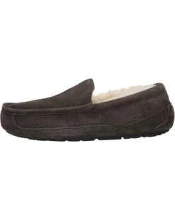 UGG Ascot | Slippers -The Cozy Boot 812F93Zbc6L. AC SR736920 1