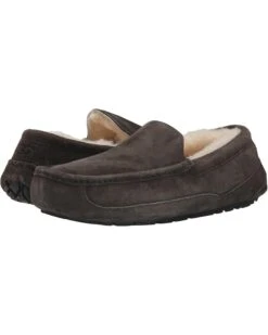 UGG Ascot - WIDE | Slippers